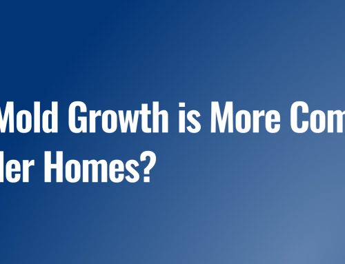Why Mold Growth is More Common in Older Homes