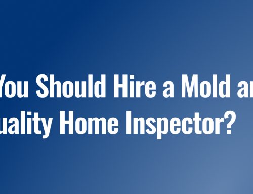 Why You Should Hire a Mold and Air Quality Home Inspector?