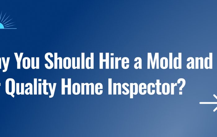 Why You Should Hire a Mold and Air Quality Home Inspector