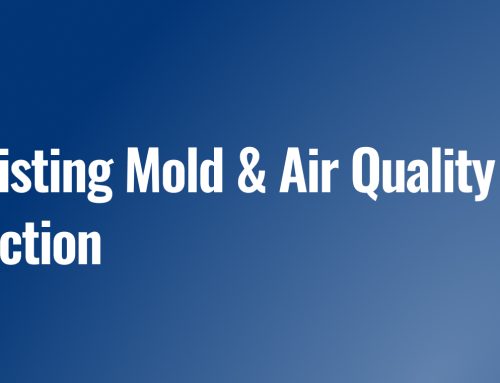 Why Investing in a Pre-Listing Mold & Air Quality Inspection Pays Off