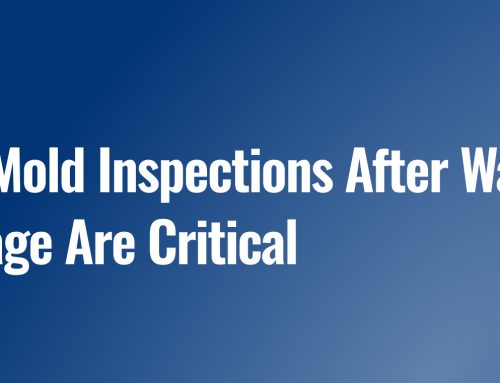 Why Mold Inspections After Water Damage Are Critical