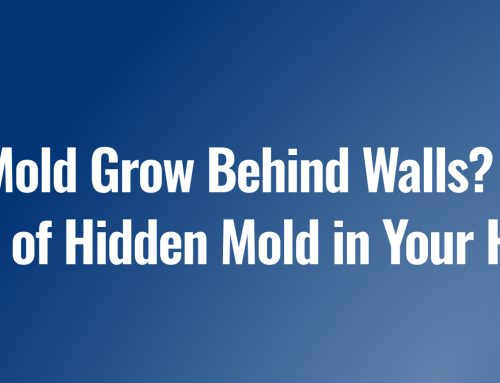 Can Mold Grow Behind Walls? Signs You May Have Hidden Mold in Your Home