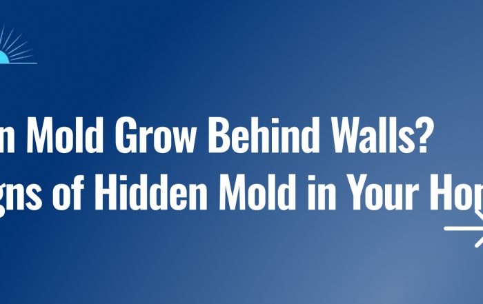 Can Mold Grow Behind Walls Signs of Hidden Mold in Your Home