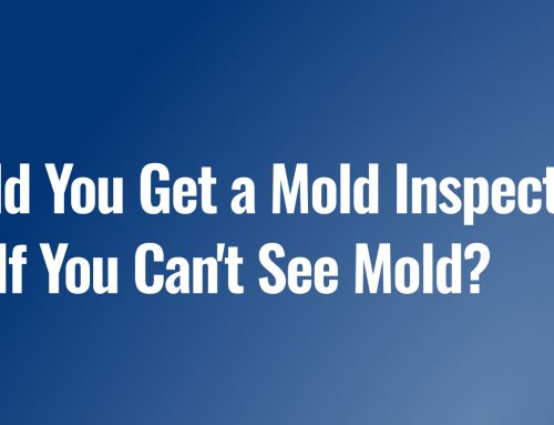 Should You Get a Mold Inspection Even If You Can’t See Mold?