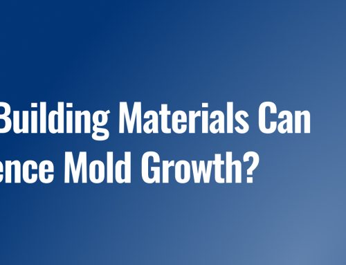 How Building Materials Can Influence Mold Growth