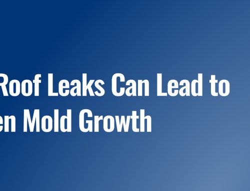 How Roof Leaks Can Lead to Hidden Mold Growth