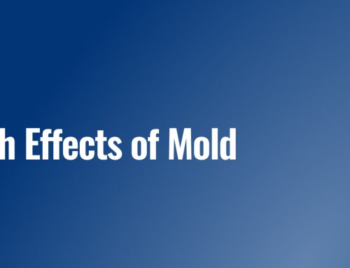 Health Effects of Mold