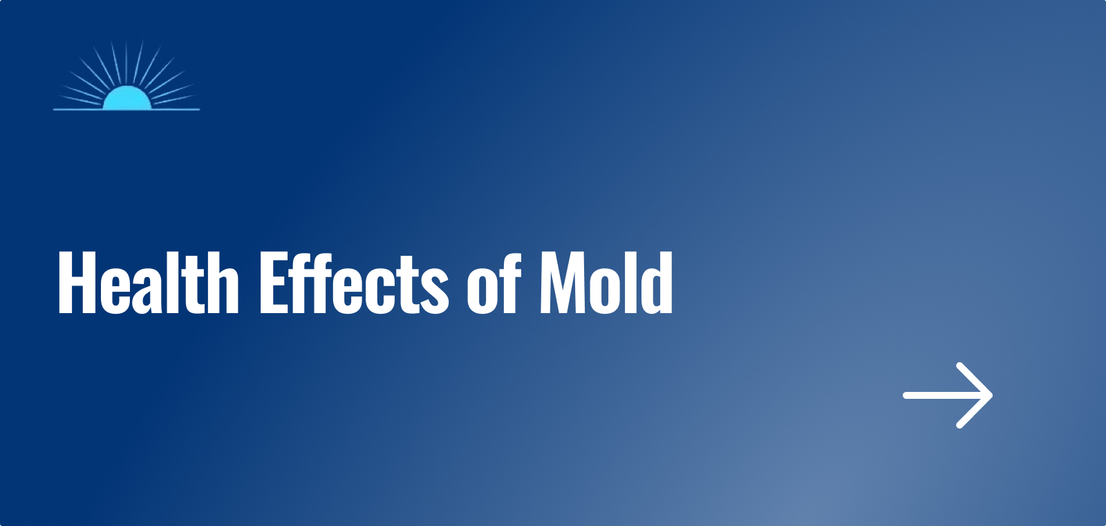 Health Effects of Mold