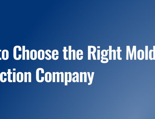 How to Choose the Right Mold Inspection Company