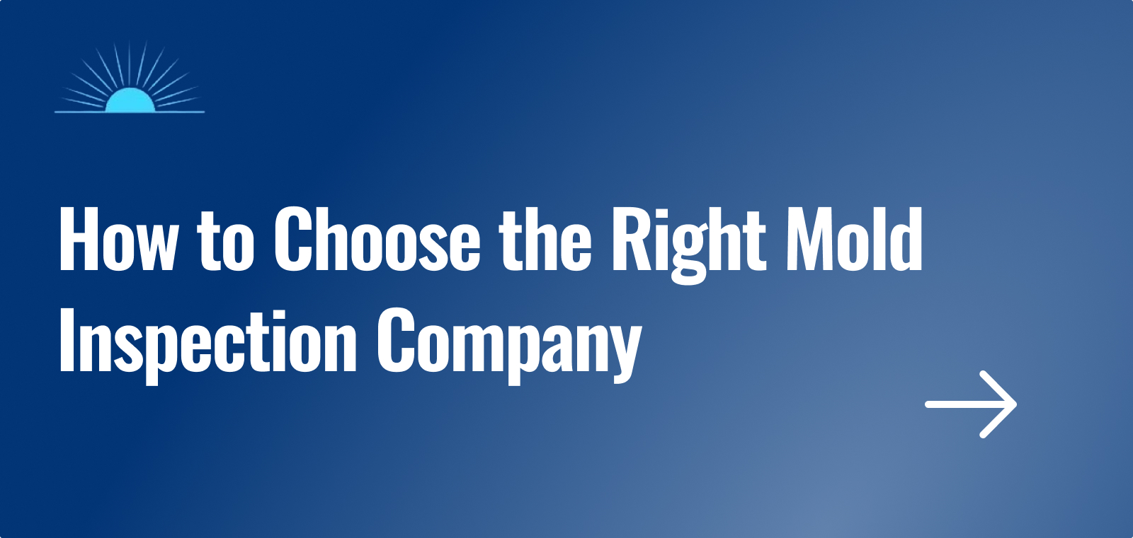 How to Choose the Right Mold Inspection Company